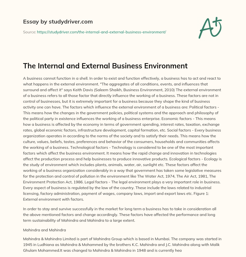 The Internal and External Business Environment essay
