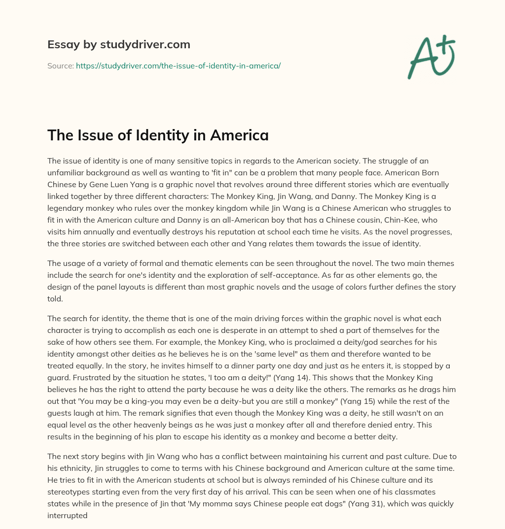 The Issue of Identity in America essay