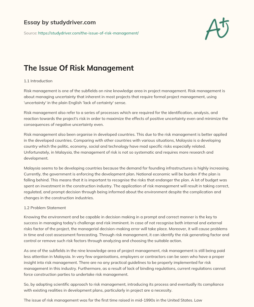 The Issue of Risk Management essay
