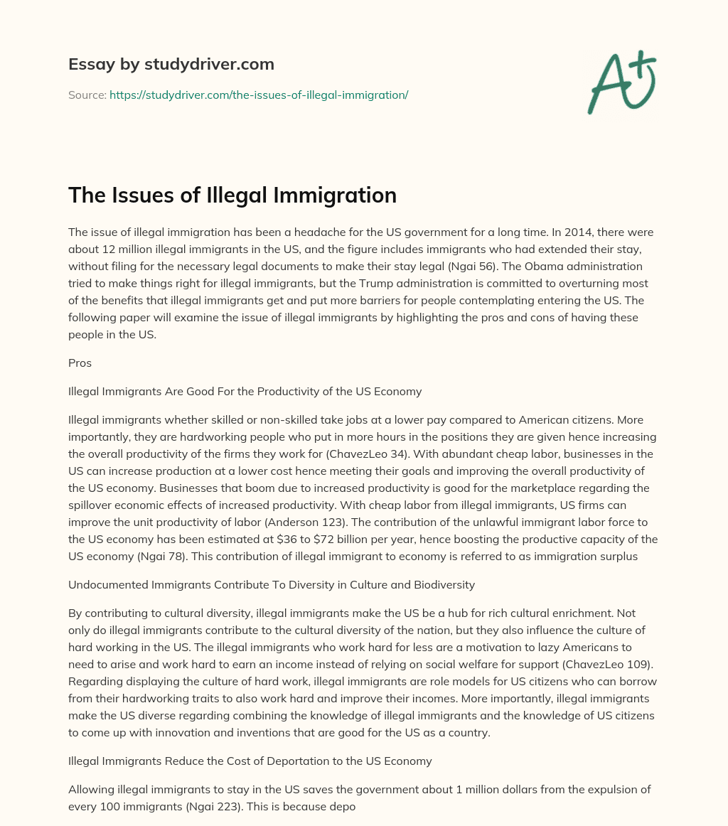 The Issues of Illegal Immigration essay