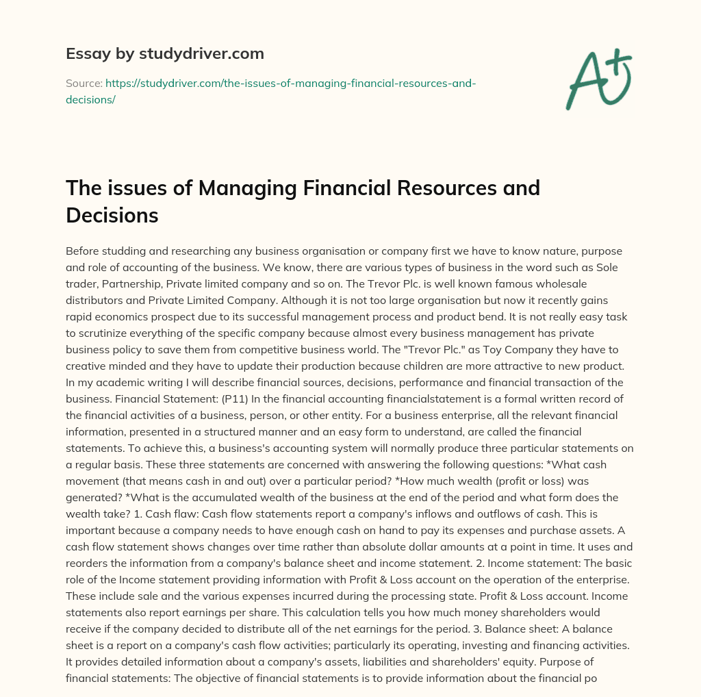 The Issues of Managing Financial Resources and Decisions essay