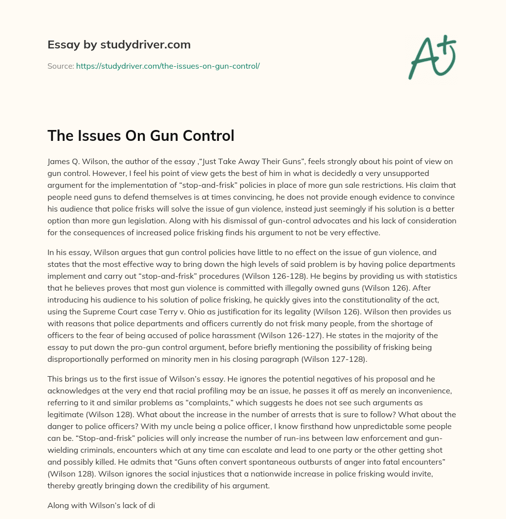 The Issues on Gun Control essay