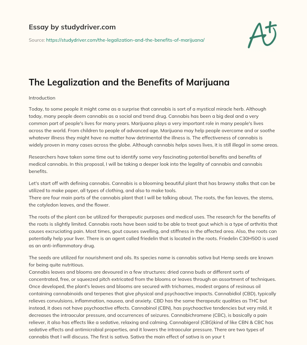 The Legalization and the Benefits of Marijuana essay
