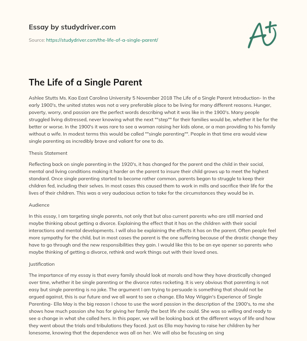 The Life of a Single Parent essay