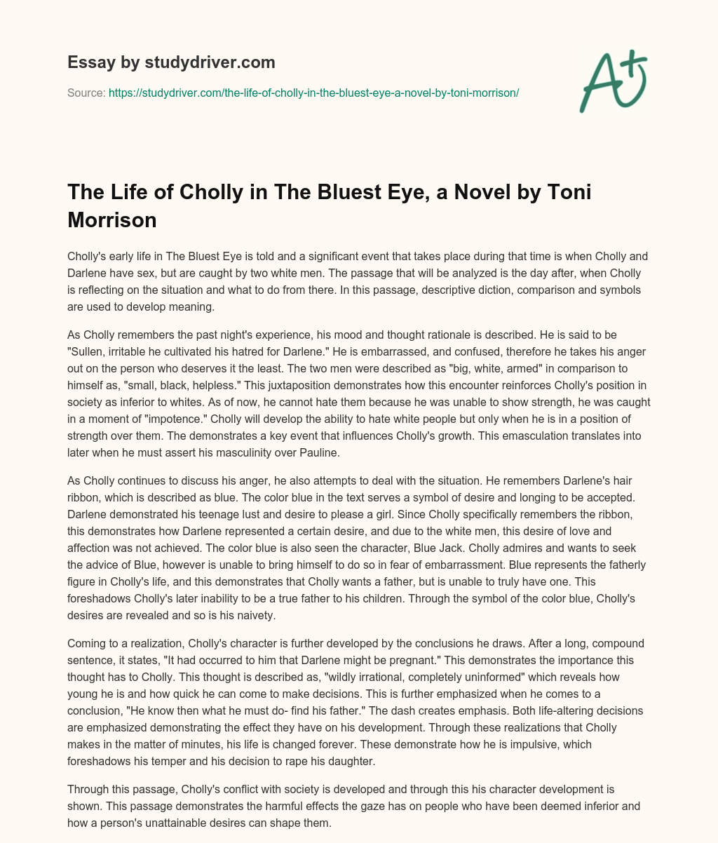 The Life of Cholly in the Bluest Eye, a Novel by Toni Morrison essay