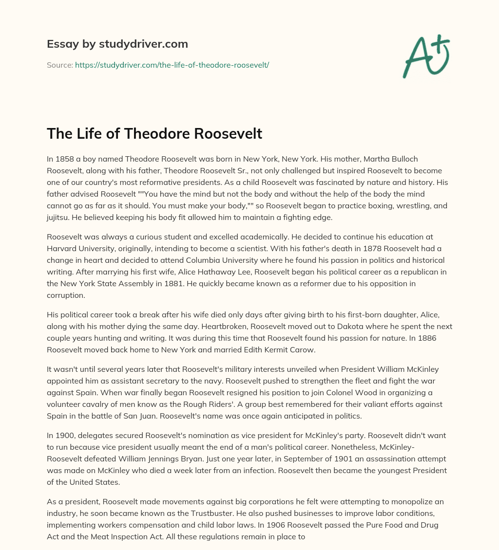The Life of Theodore Roosevelt essay