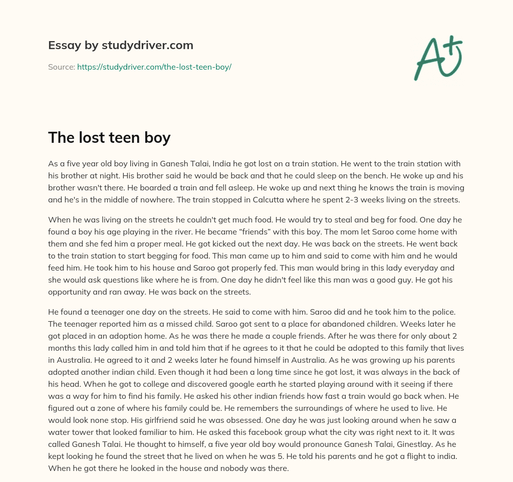 The Lost Teen Boy essay