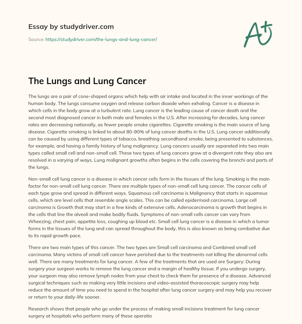 The Lungs and Lung Cancer essay