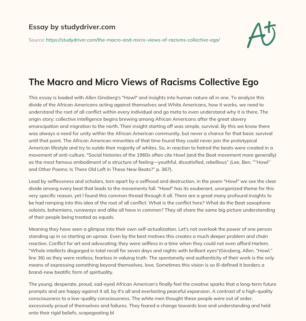 The Macro and Micro Views of Racisms Collective Ego essay