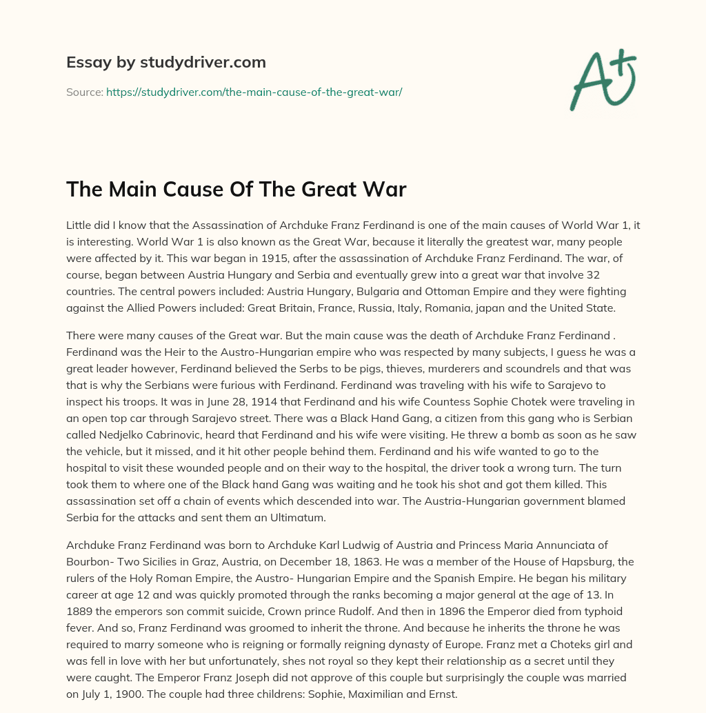 The Main Cause of the Great War essay