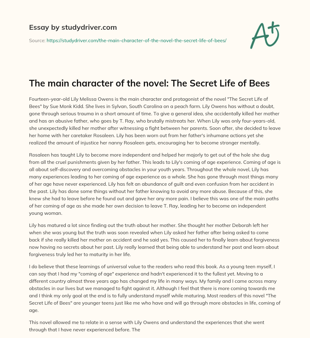 The Main Character of the Novel: the Secret Life of Bees essay