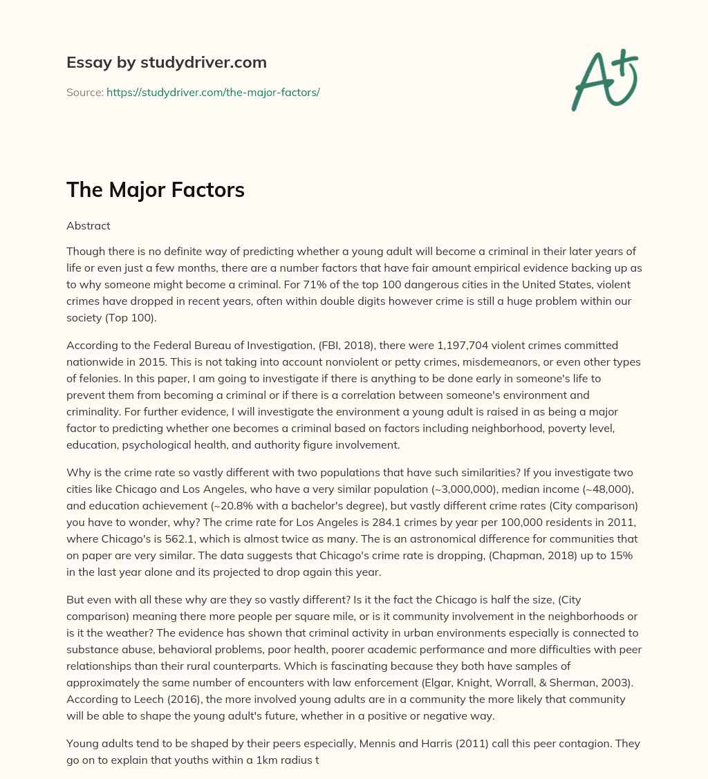 The Major Factors essay