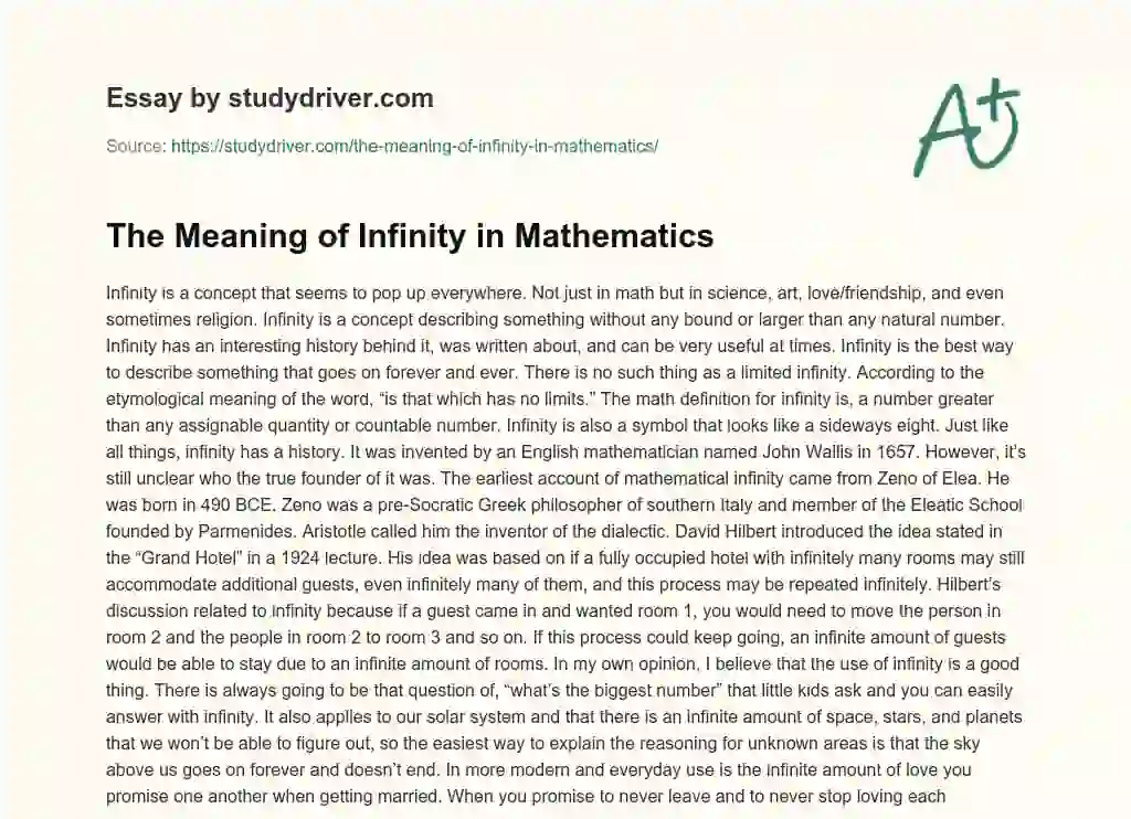 The Meaning of Infinity in Mathematics essay