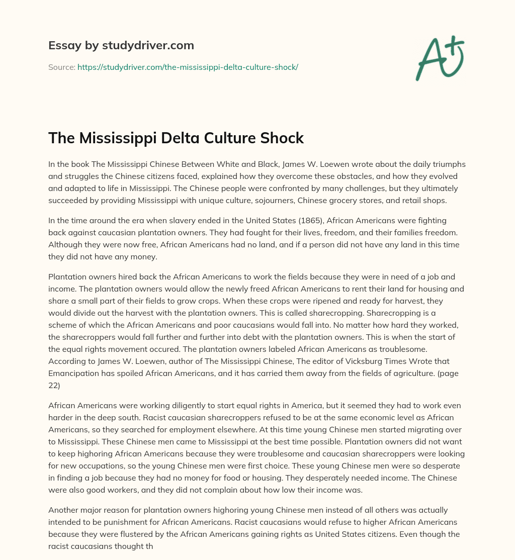 The Mississippi Delta Culture Shock essay