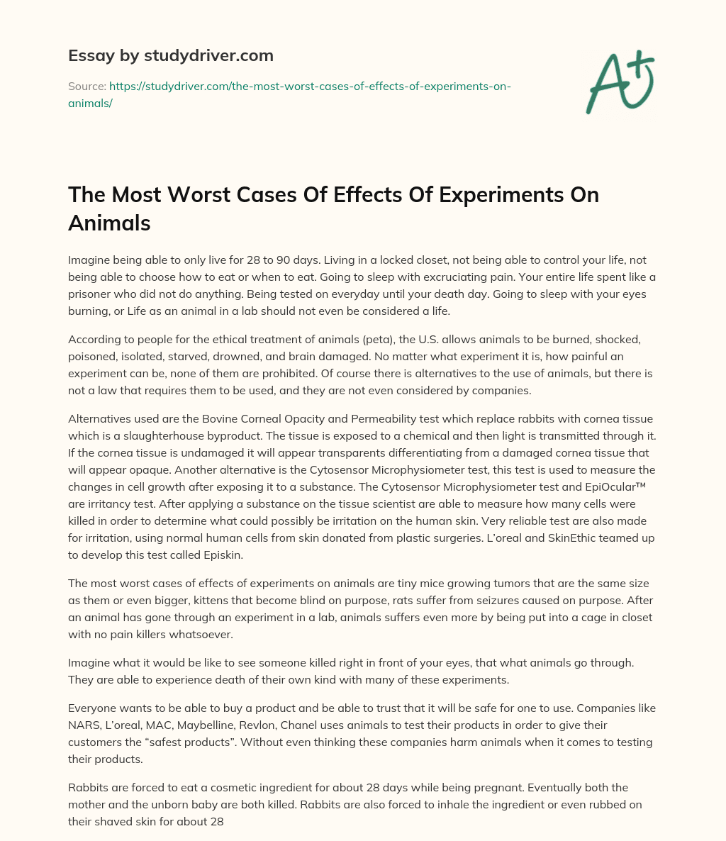 The most Worst Cases of Effects of Experiments on Animals essay