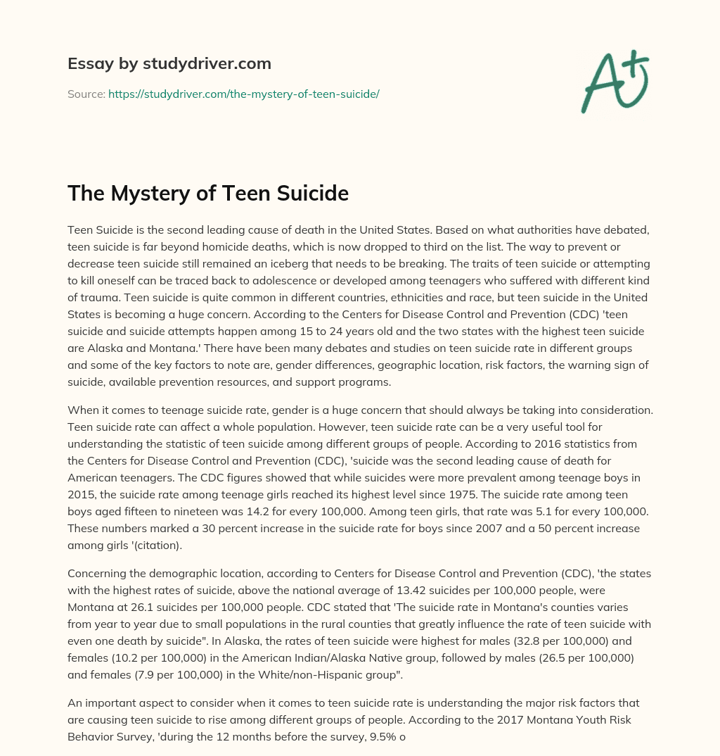 The Mystery of Teen Suicide essay