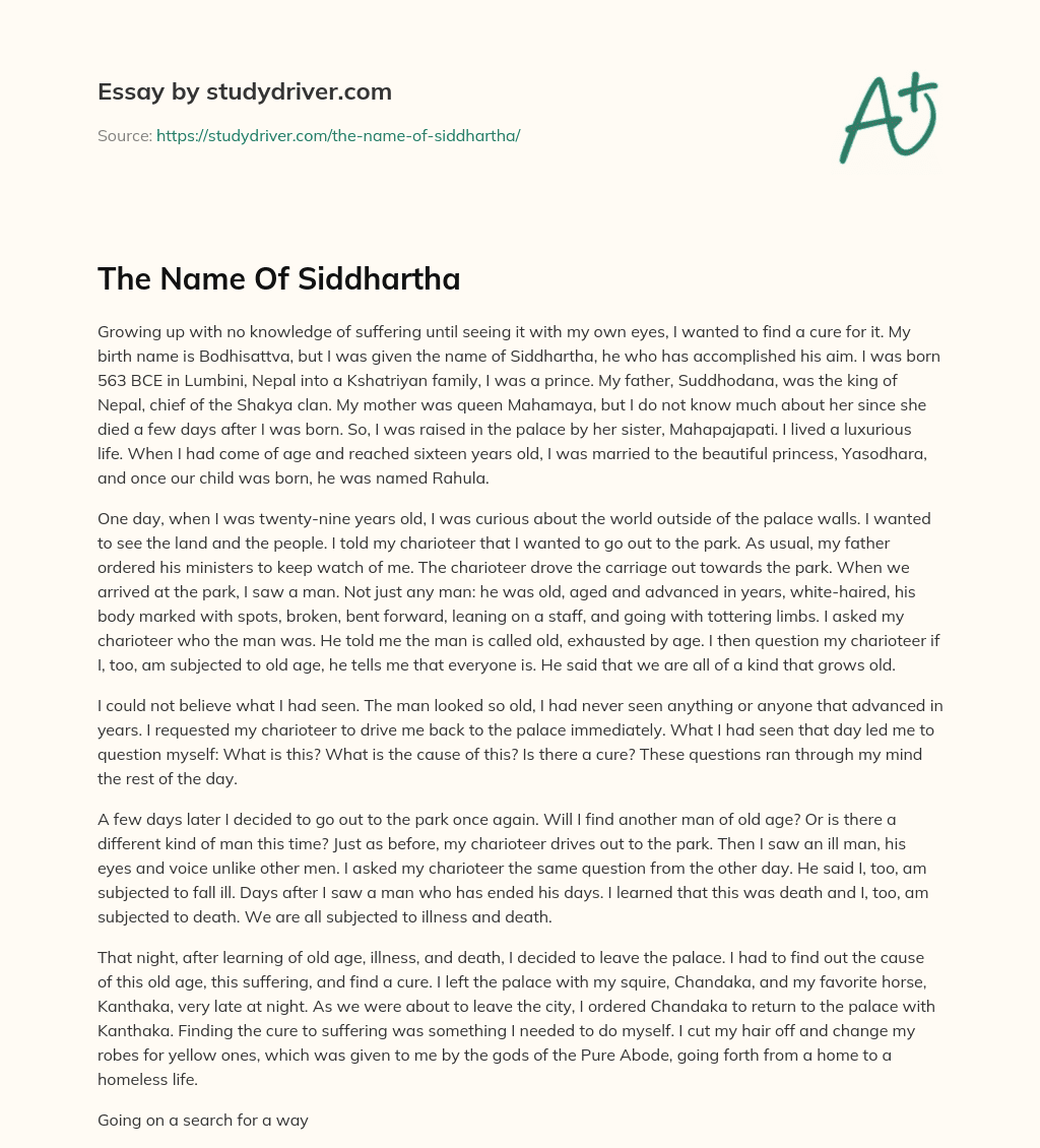 The Name of Siddhartha essay