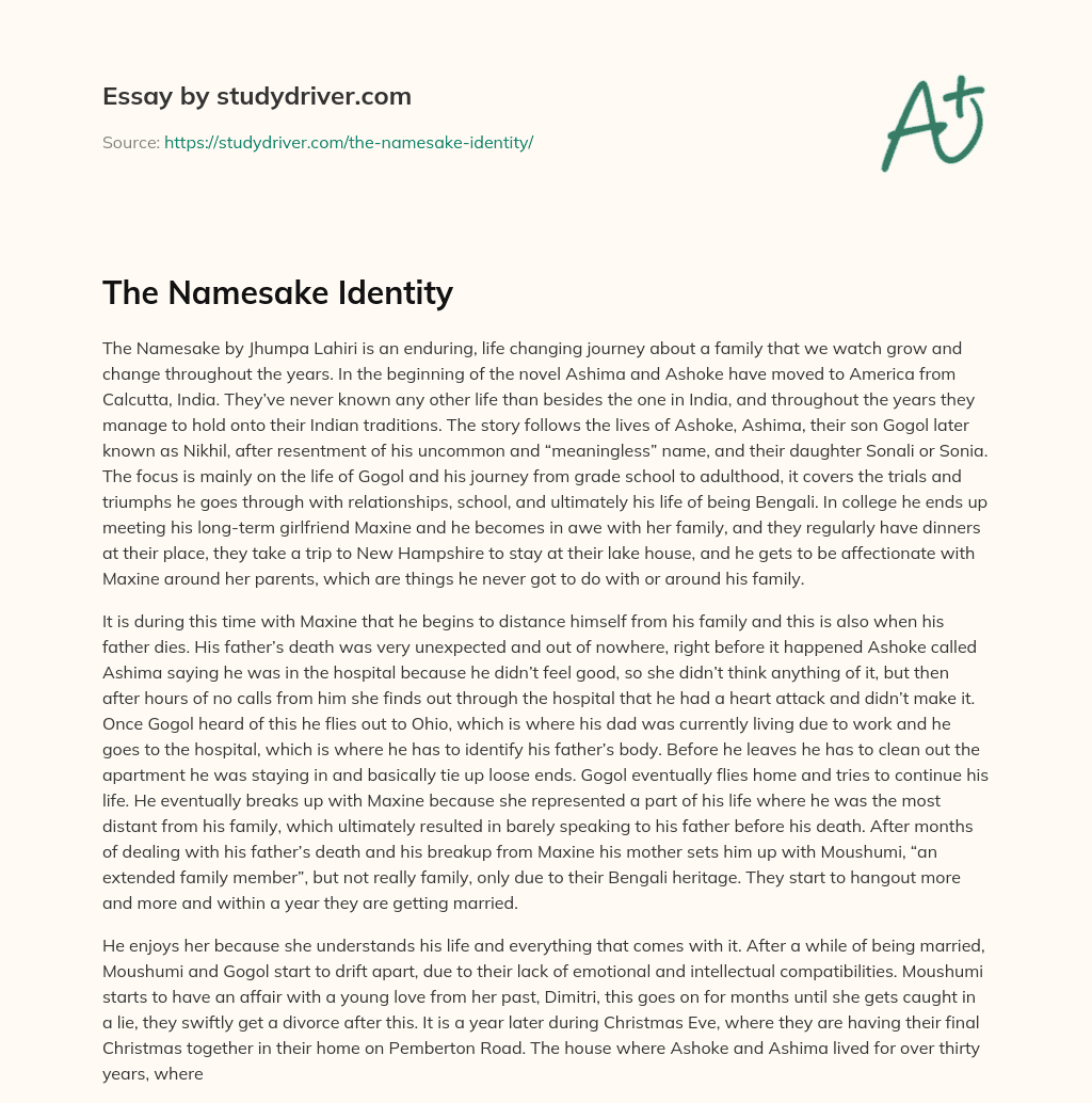 The Namesake Identity essay