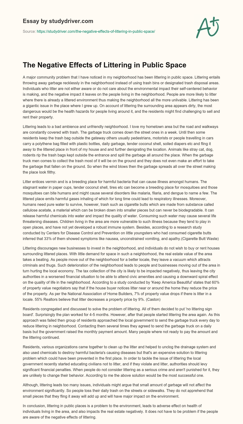 The Negative Effects of Littering in Public Space essay