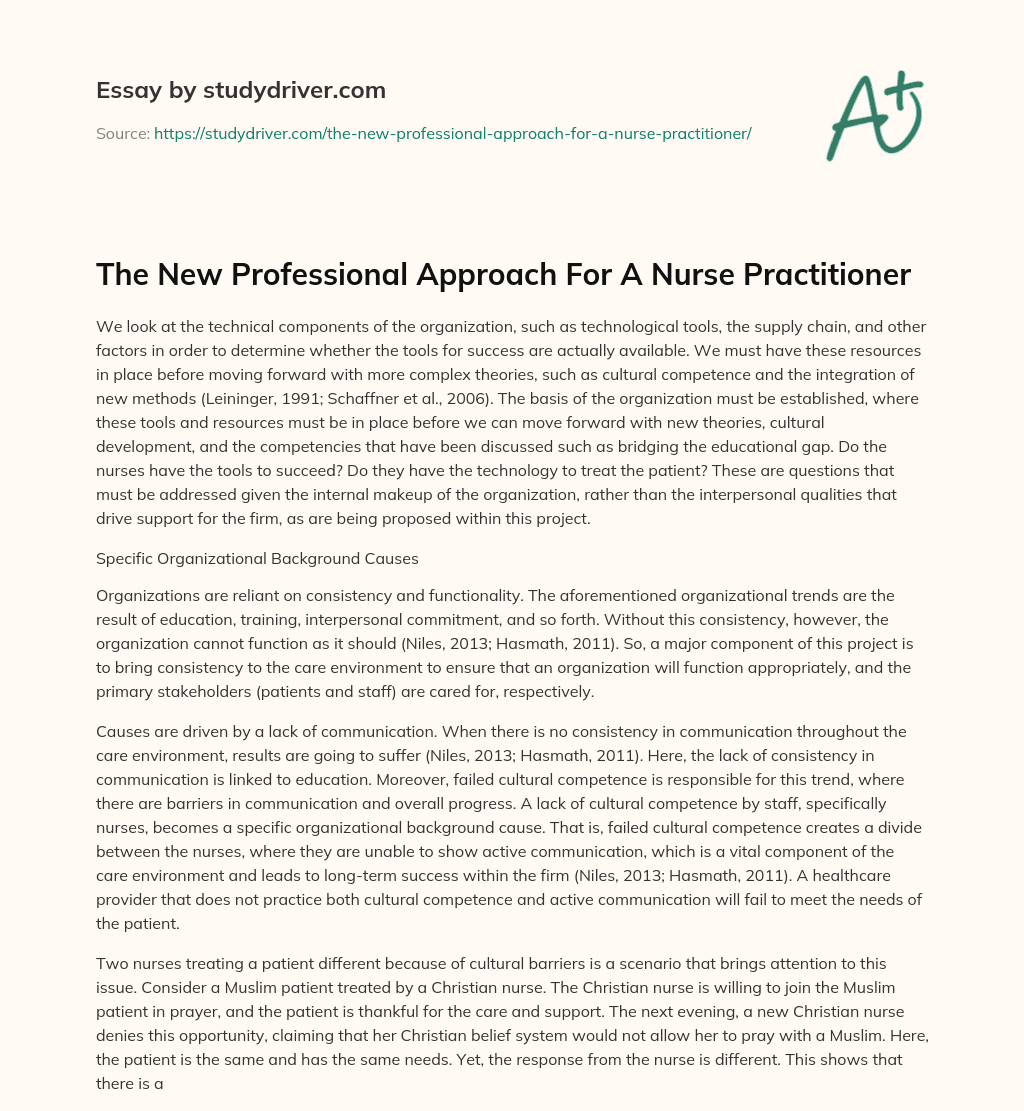 The New Professional Approach for a Nurse Practitioner essay
