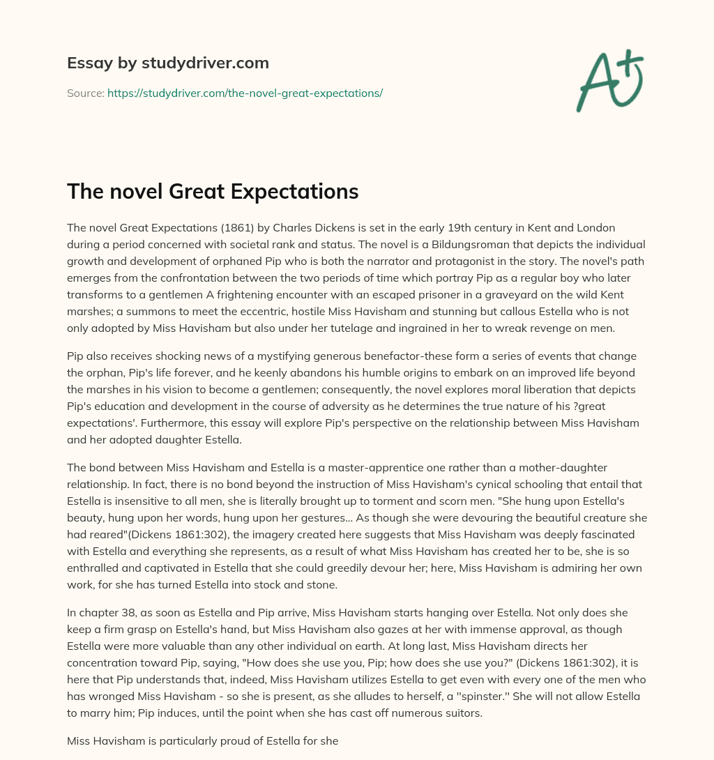 The Novel Great Expectations essay