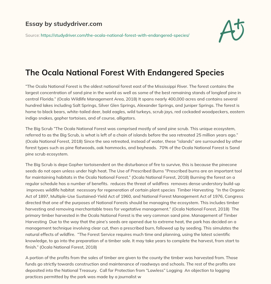 The Ocala National Forest with Endangered Species essay