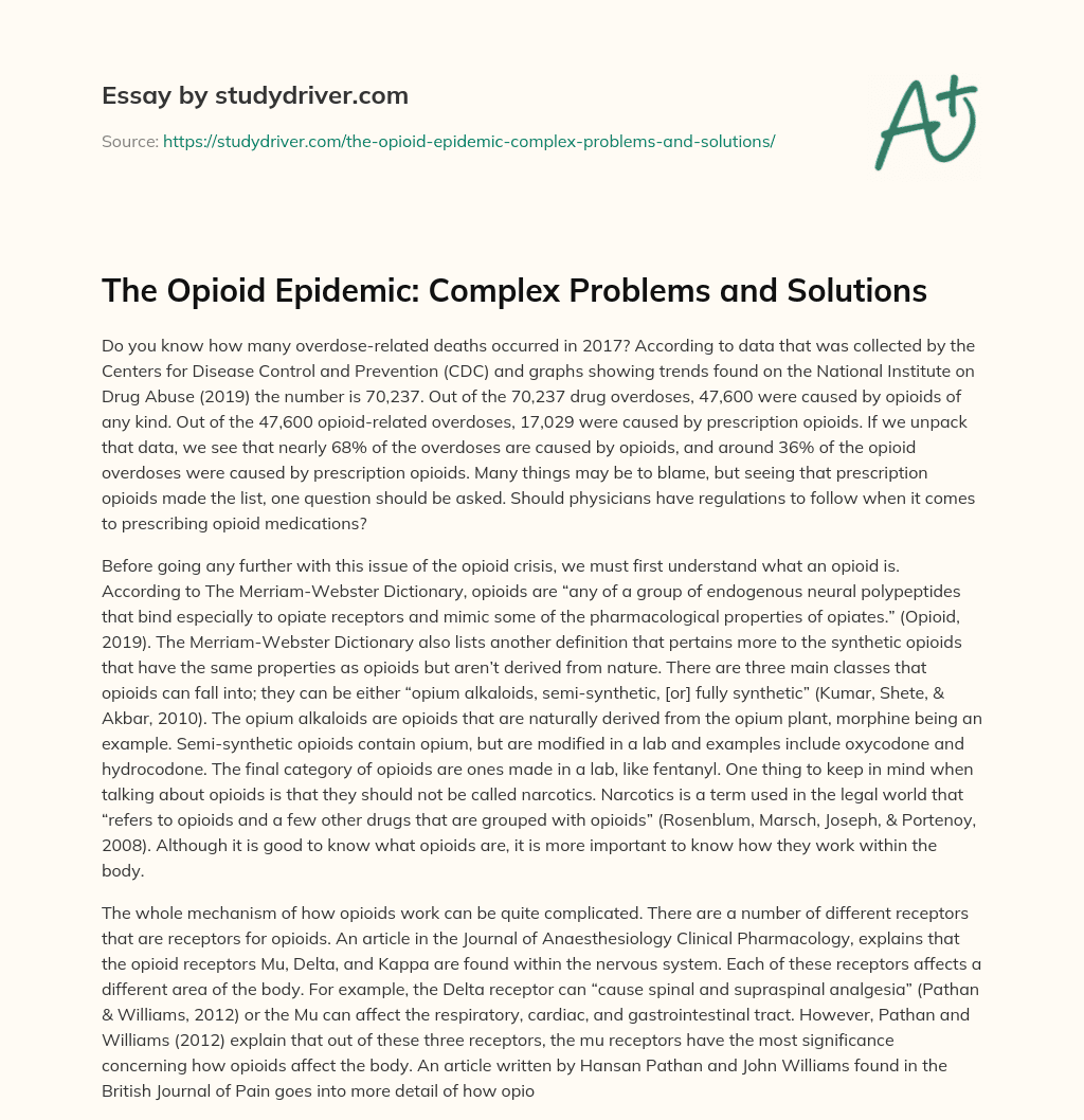 The Opioid Epidemic: Complex Problems and Solutions essay