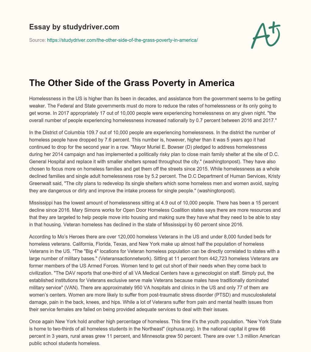 The other Side of the Grass Poverty in America essay