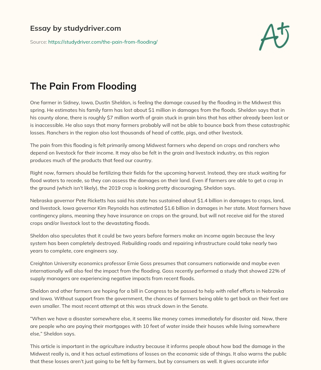 The Pain from Flooding essay