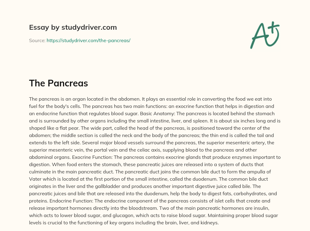 The Pancreas essay