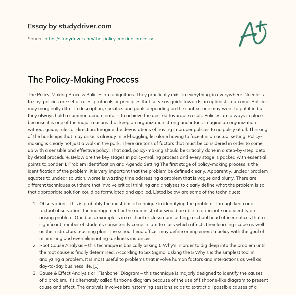 The Policy-Making Process essay