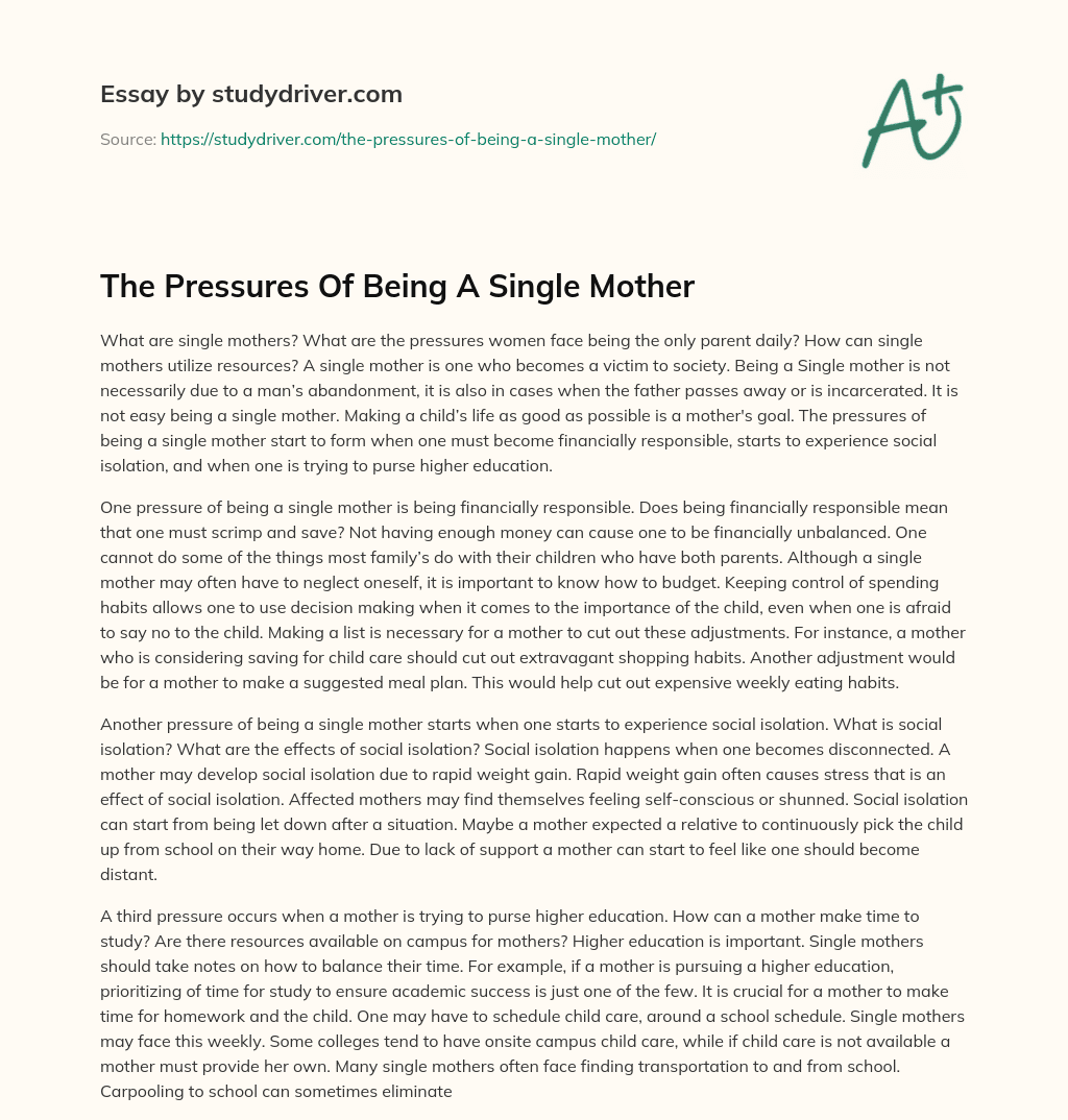 The Pressures of being a Single Mother essay