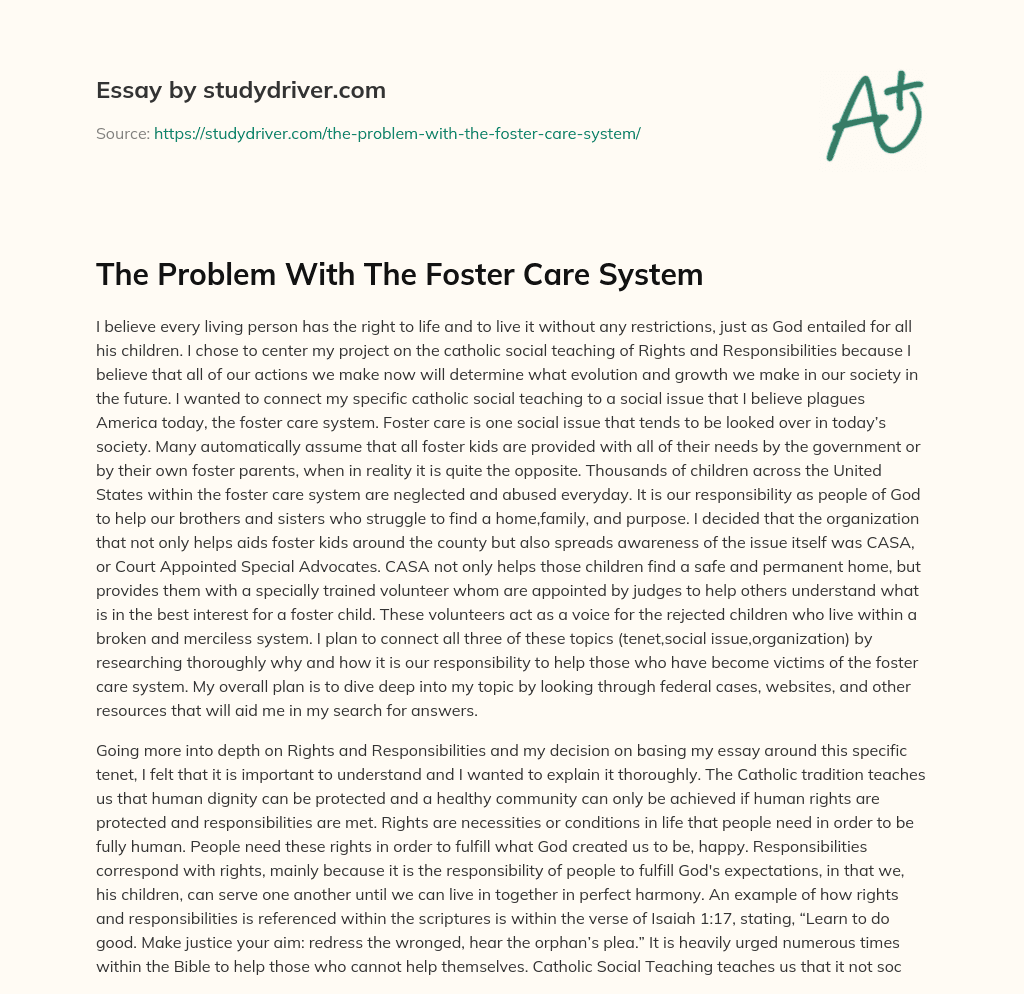 The Problem with the Foster Care System essay