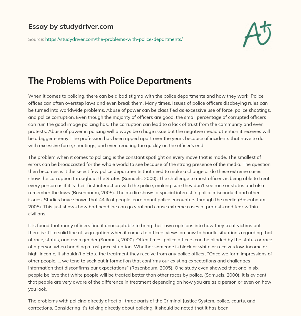 The Problems with Police Departments essay