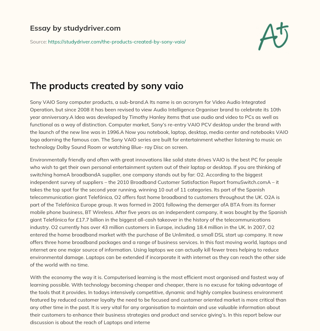 The Products Created by Sony Vaio essay