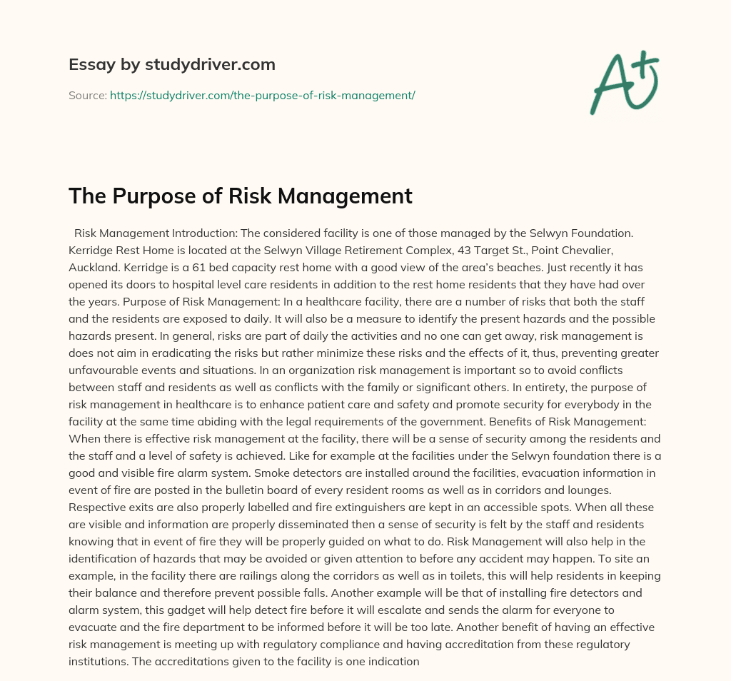The Purpose of Risk Management essay