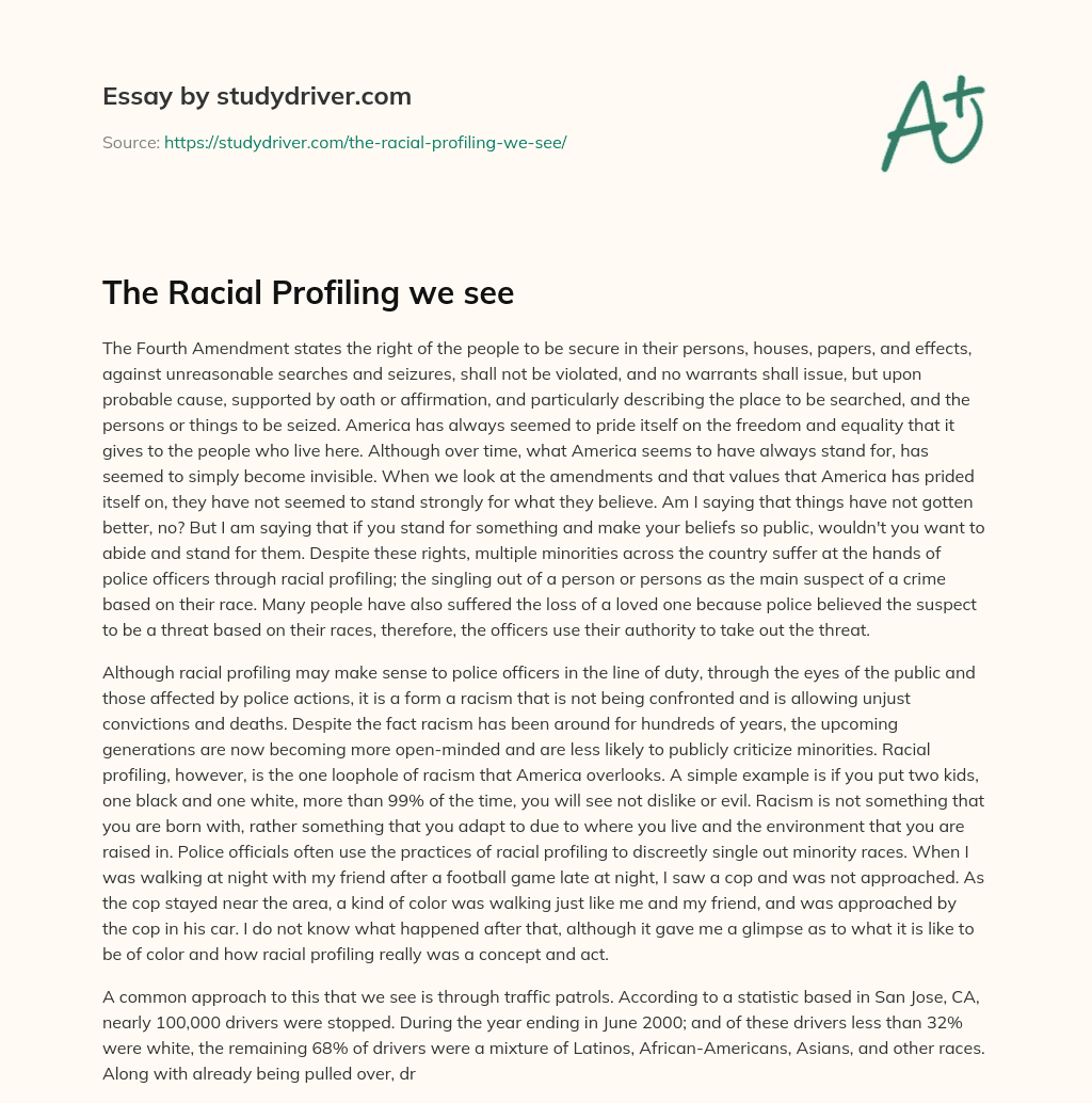 The Racial Profiling we See essay