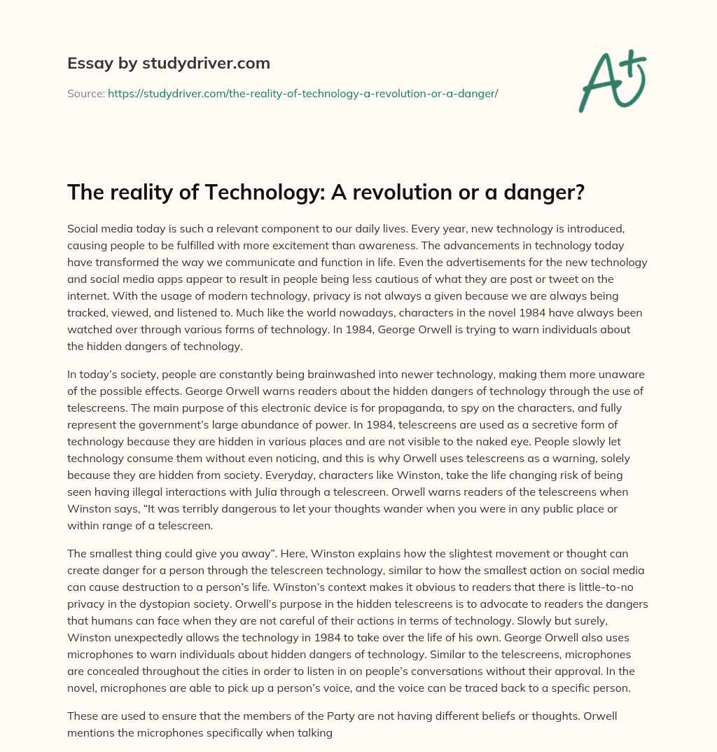 The Reality of Technology: a Revolution or a Danger?  essay