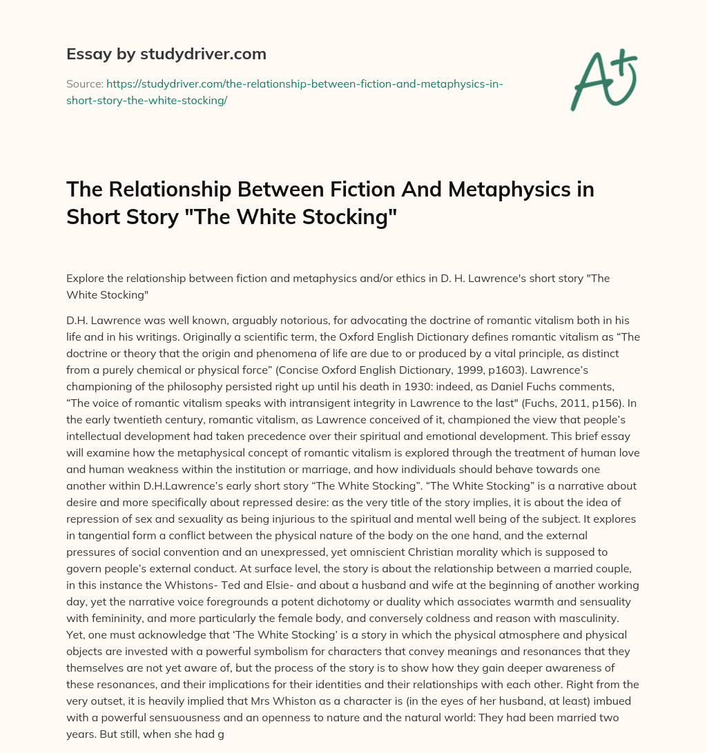 The Relationship between Fiction and Metaphysics in Short Story “The White Stocking” essay