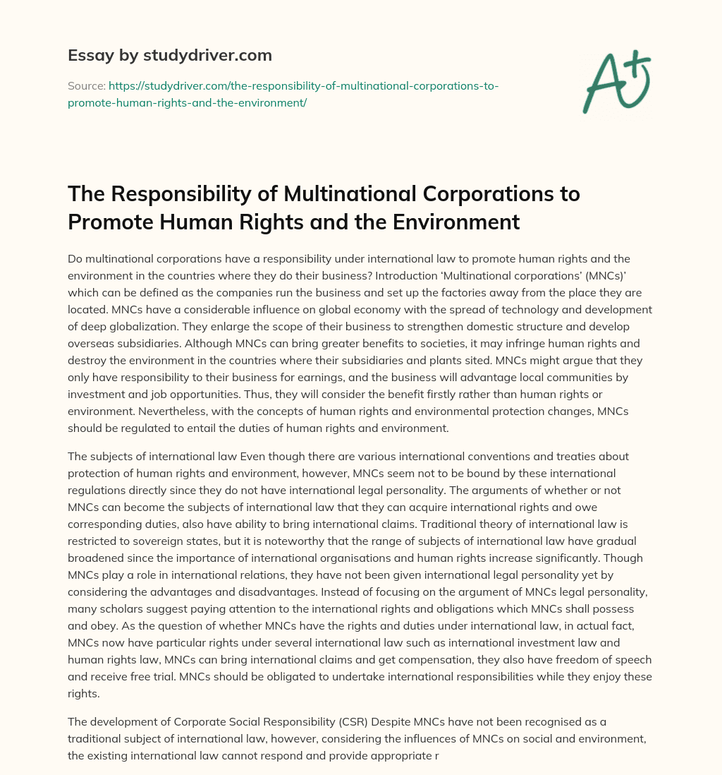 The Responsibility of Multinational Corporations to Promote Human Rights and the Environment essay