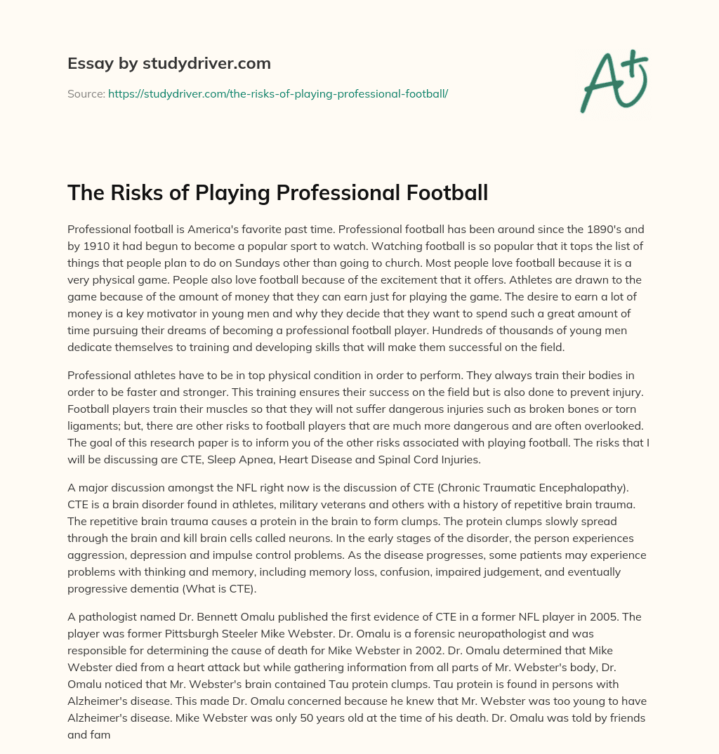 The Risks of Playing Professional Football essay