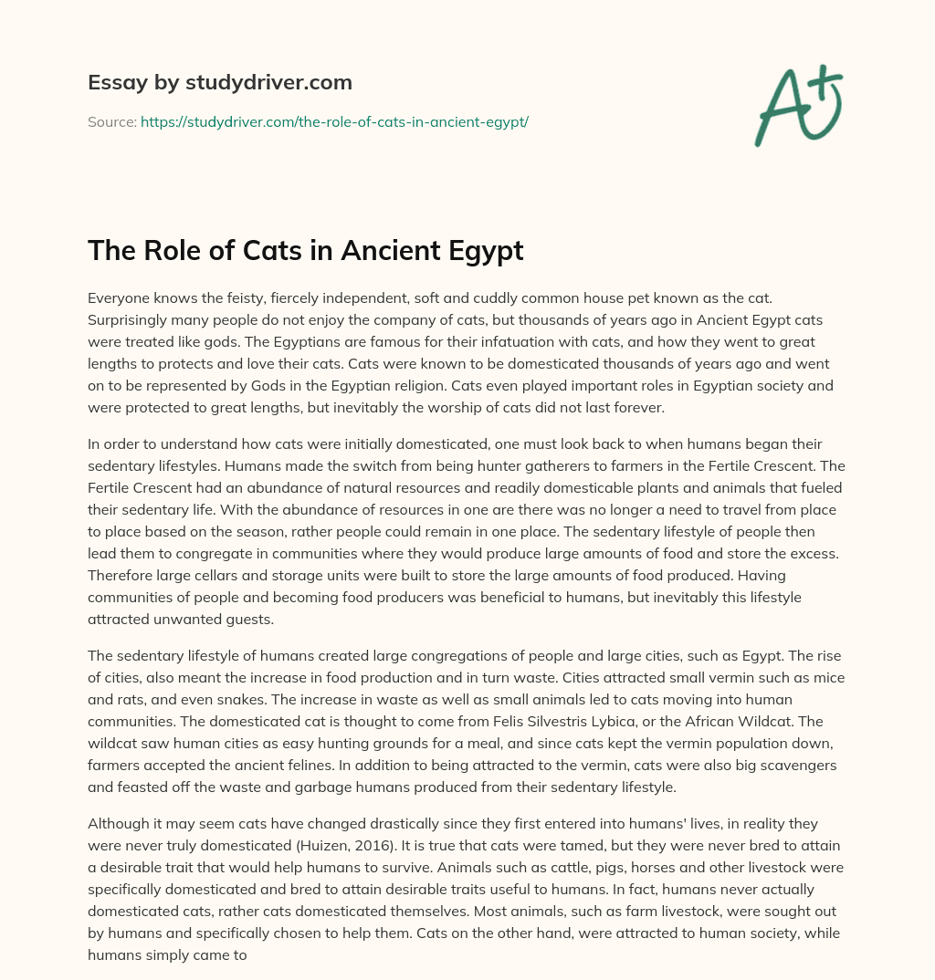 The Role of Cats in Ancient Egypt essay