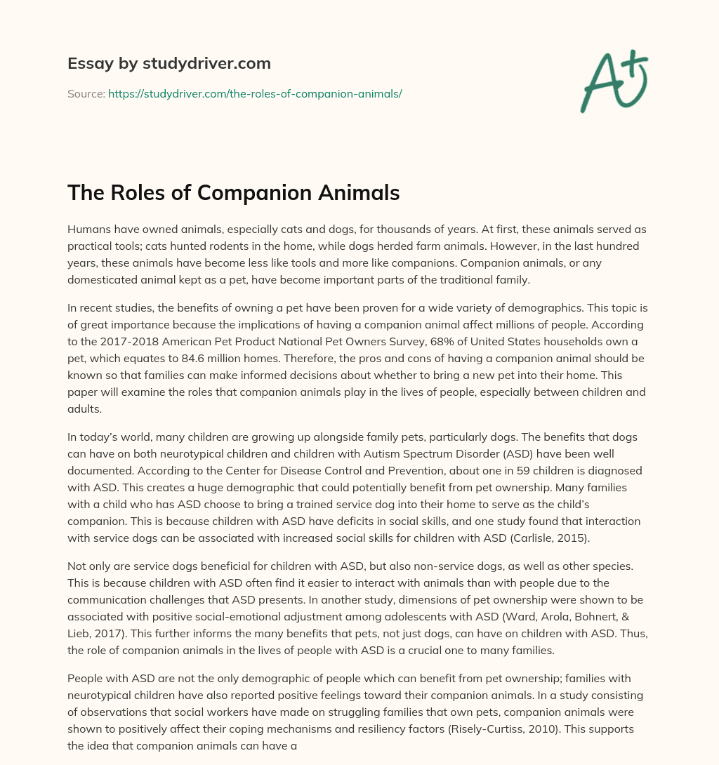The Roles of Companion Animals essay