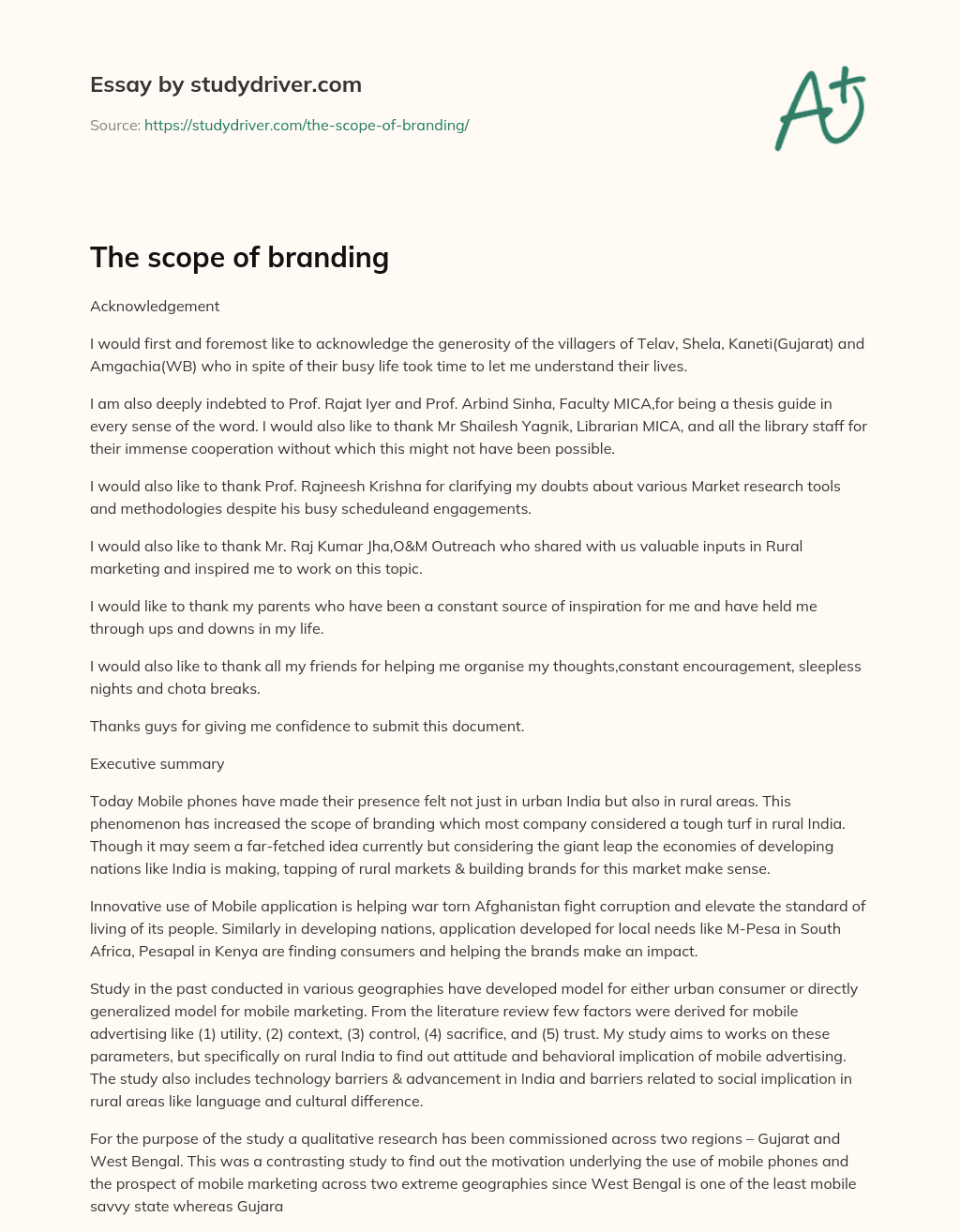 The Scope of Branding essay