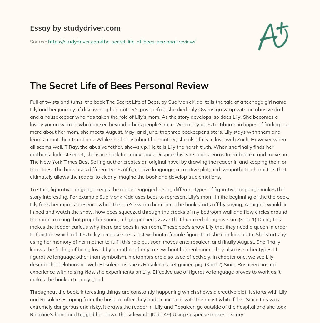 The Secret Life of Bees Personal Review essay