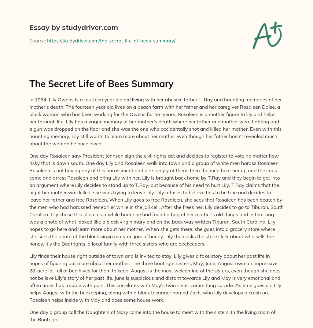 The Secret Life of Bees Summary essay