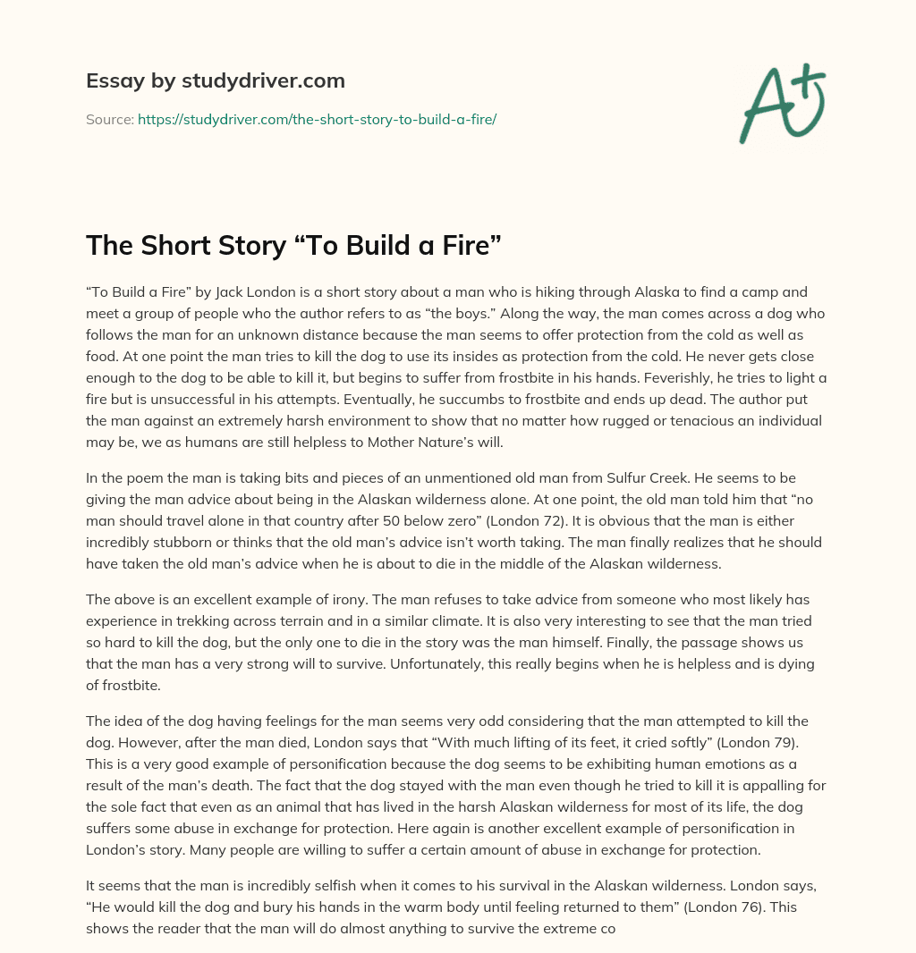 The Short Story “To Build a Fire” essay