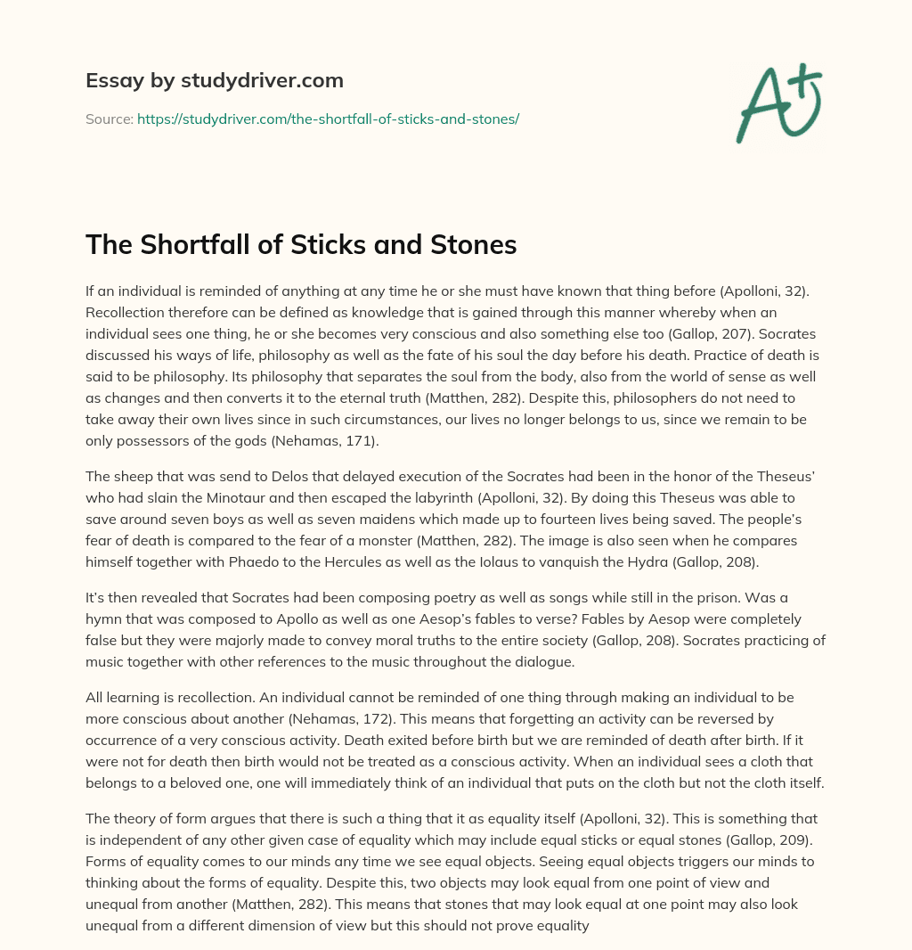 The Shortfall of Sticks and Stones essay