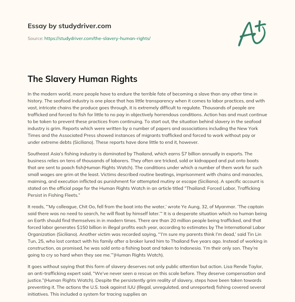 The Slavery Human Rights essay