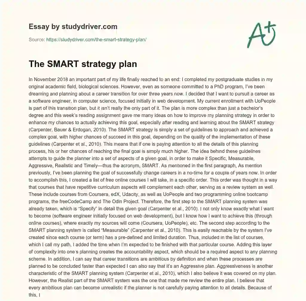 The SMART Strategy Plan essay